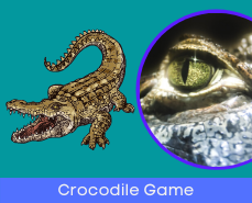 crocodile board game esl  Printable board games, Online games for kids,  Online math games